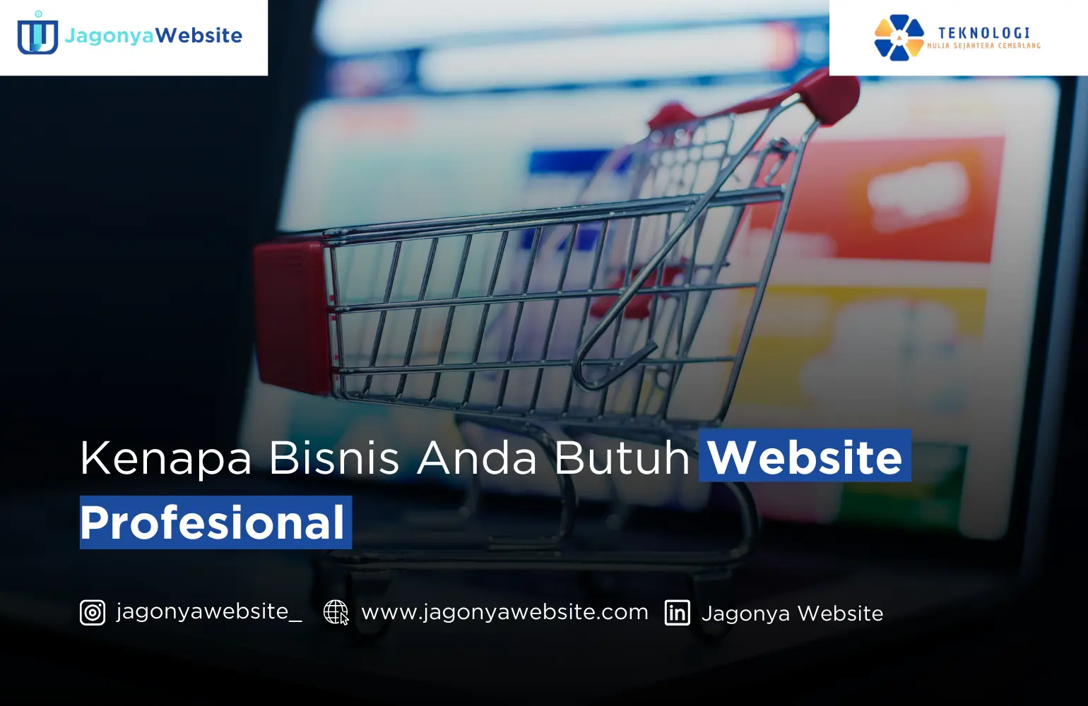 Kenapa Bisnis Anda Butuh Website Profesional