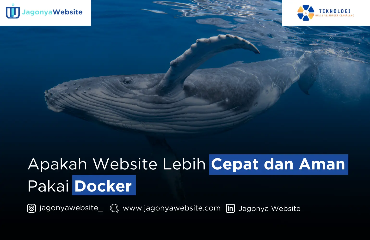 Apakah Website Lebih Cepat dan Aman Pakai Docker